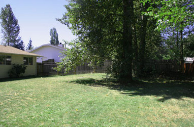 Kent 3 back yard